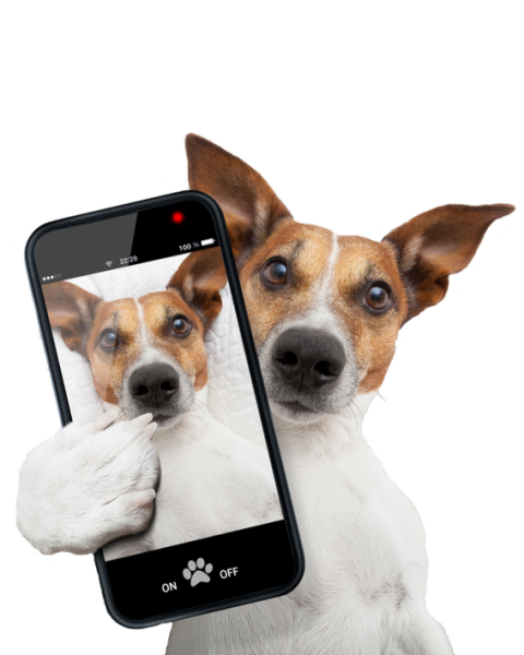 marketing-marketingbureau-exposure-online-marketing-www.exposuregroep.nl