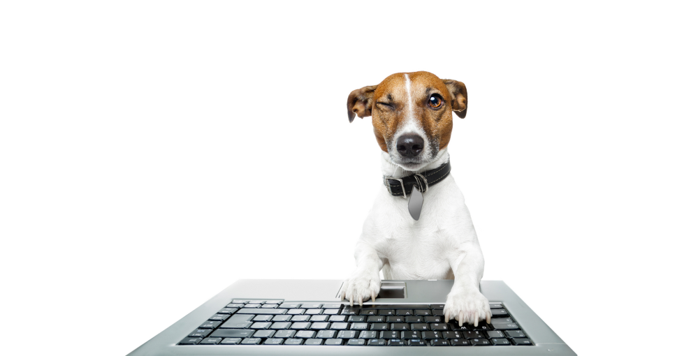 marketingstrategie-marketing-communicatiebureau-exposure