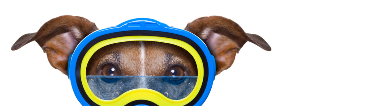 SEO-optimalisatie-Exposure-zrogt-dat-u-website-gevonden wordt
