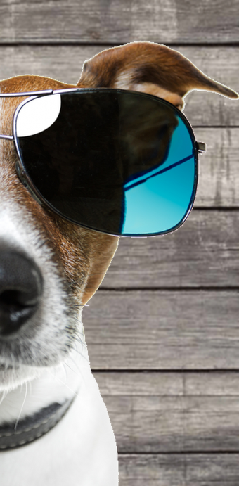 social-media-campagnes-facebook-advertenties-google-adwords-1