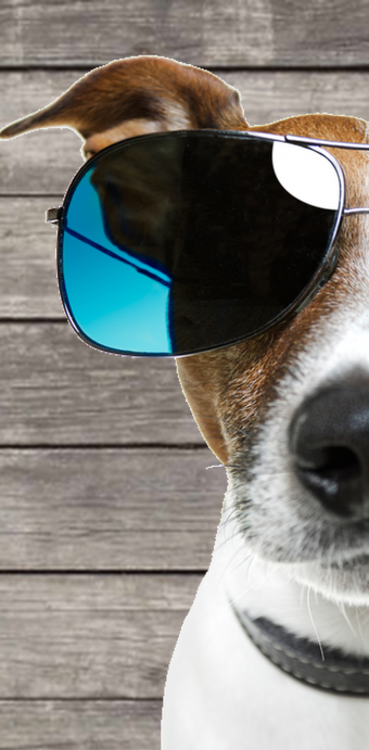 social-media-campagnes-facebook-advertenties-google-adwords-2