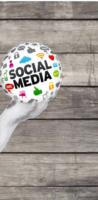 social-media-reclamebureau-exposure-facebook-advertising