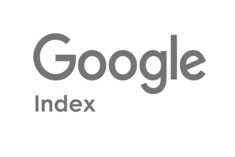 webanalyse-exposure-google-indexeren-meer-bezoekers-op-je-website