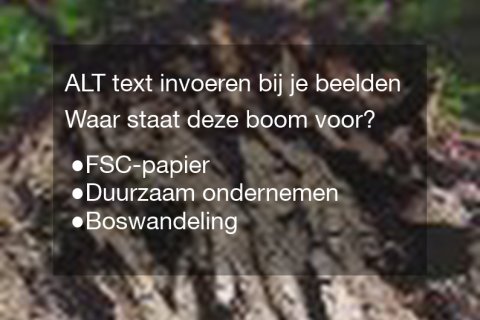 webanalyse-marketing-communicatie-reclamebureau-exposure-website-webdesign-website-google-beelden
