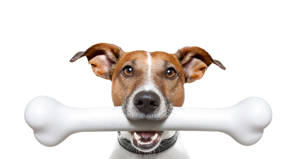 zoekmachine-marketing-marketing-communicatiebureau-exposure